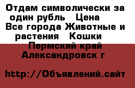 Отдам символически за один рубль › Цена ­ 1 - Все города Животные и растения » Кошки   . Пермский край,Александровск г.